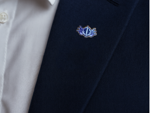 Pin’s Officiel – Vétérans de France